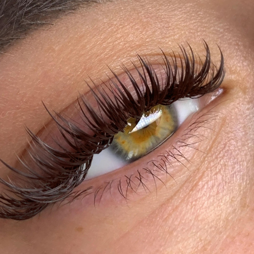 Lashbox LA Mocha Brown / FAVORITE Lashes 0.03