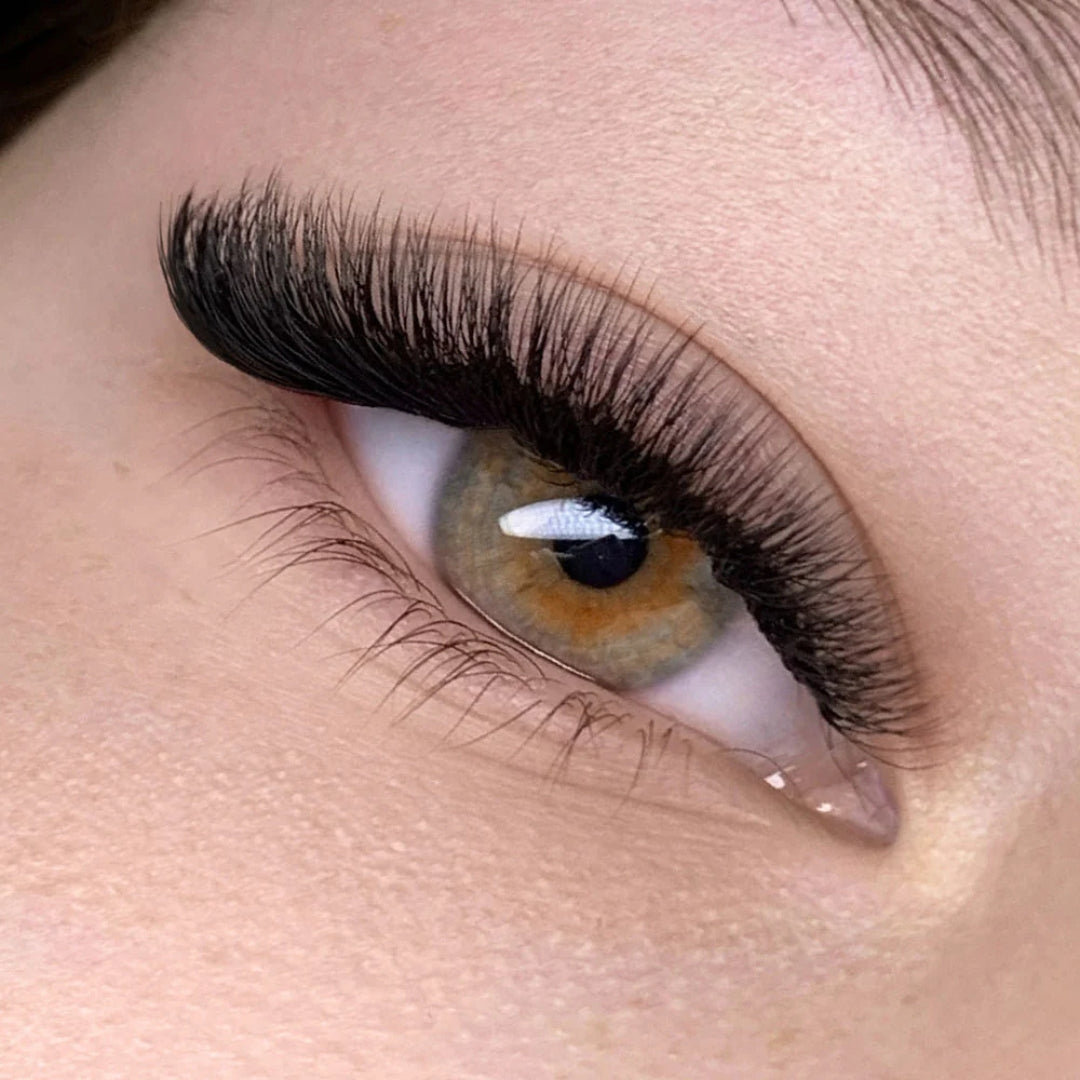 Lashbox LA Pretty Little 5Y’s