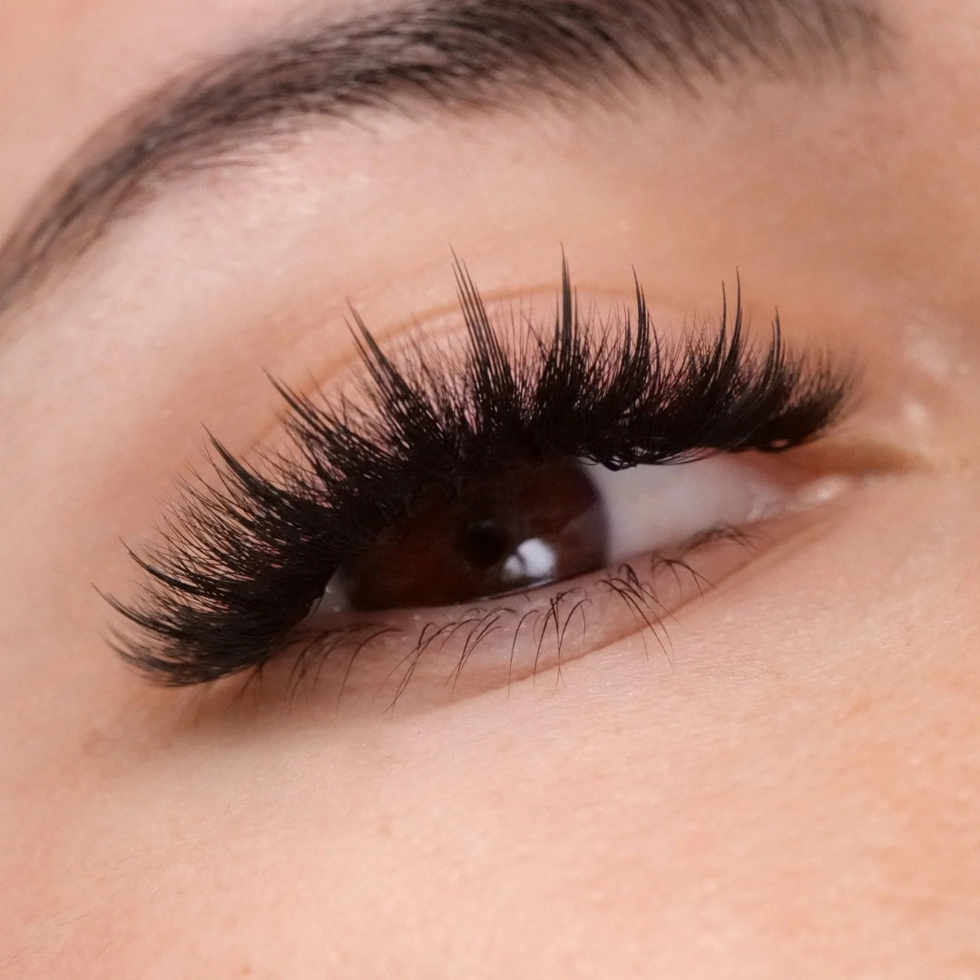 Lashbox LA Anime Tower Spike - 0.05 Contour 3D Print Lash