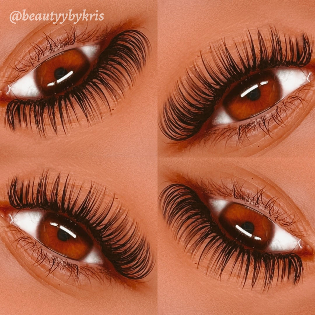 Dark Silk Volume Lash Trays - .05 Diameter