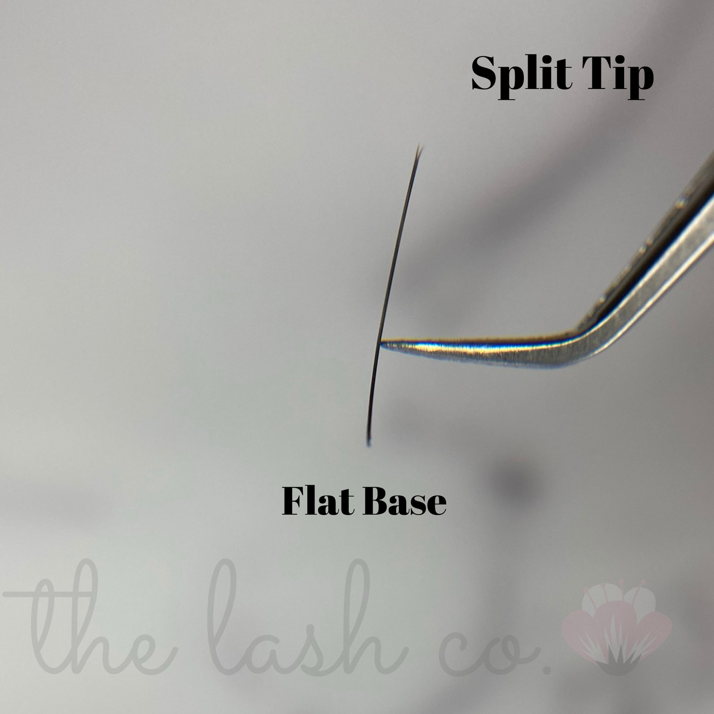 Flat Classic Lash Trays - 0.15 Diameter