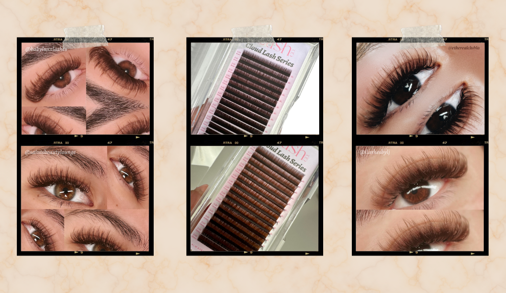 Brown Lash Collection