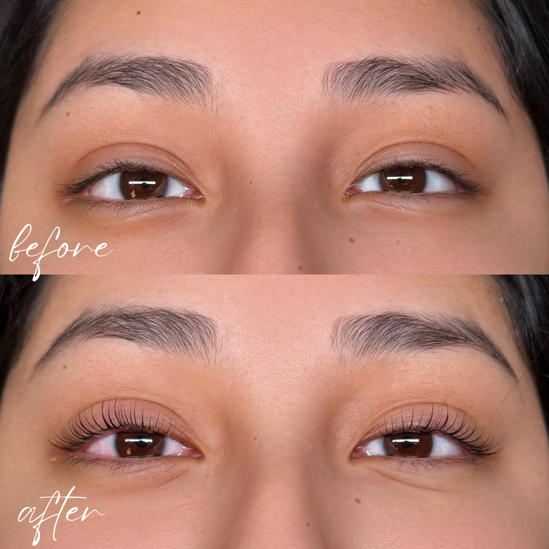 Dino Lash Lift Shields (Raindrop Curl)