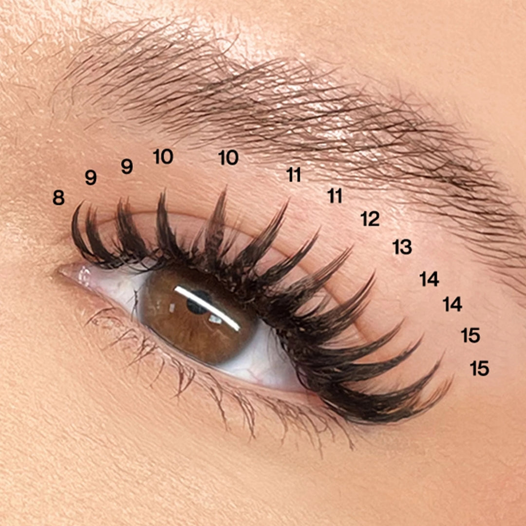 Lashbox LA Anime Tower Spike Contour Lashes