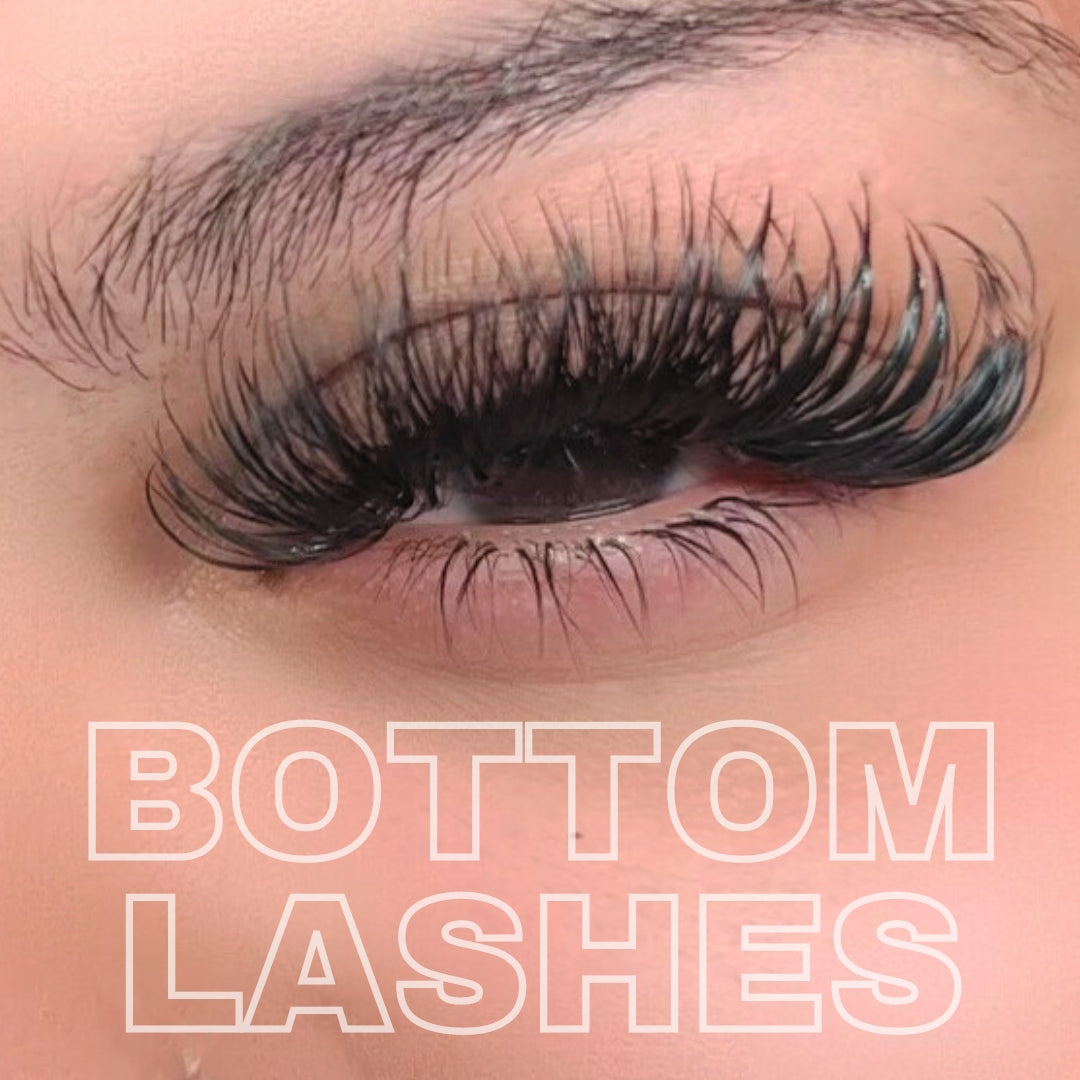 Bottom Lash Trays - B/J Curl