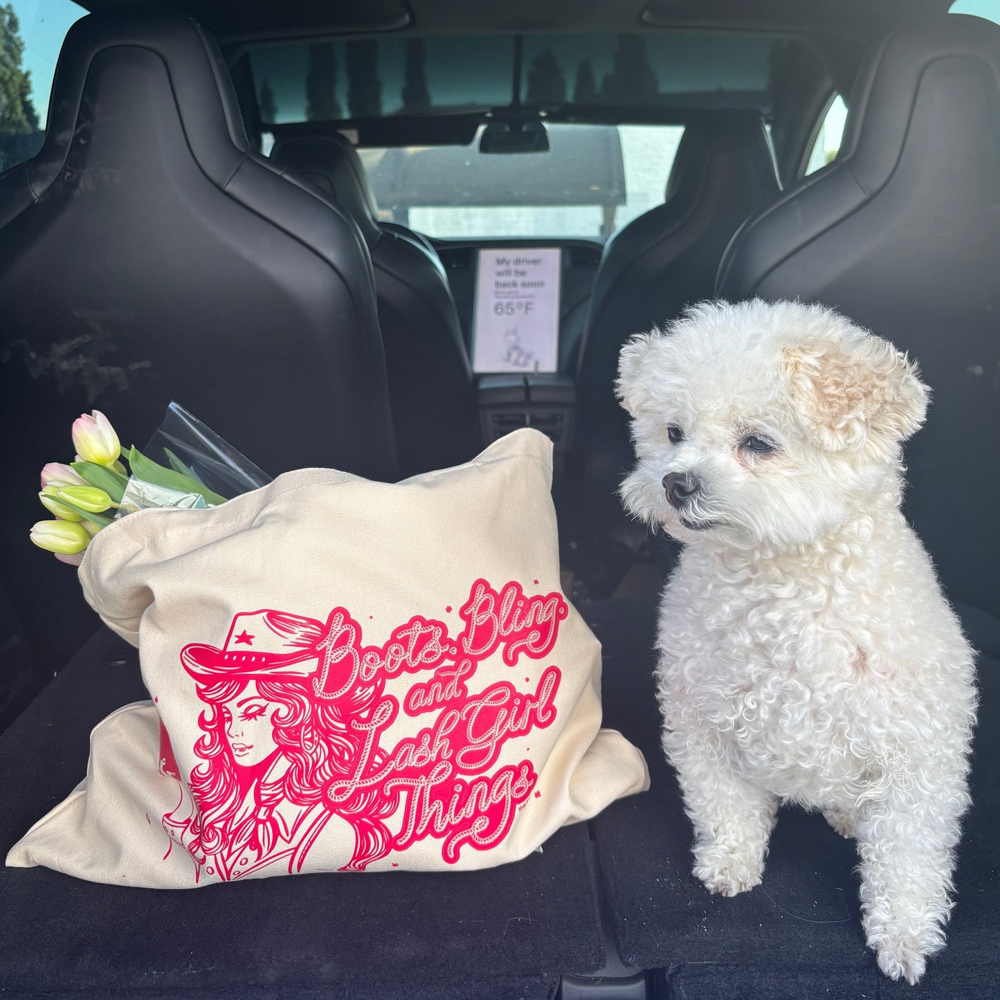 Boots Bling and Lash Girl Things Tote