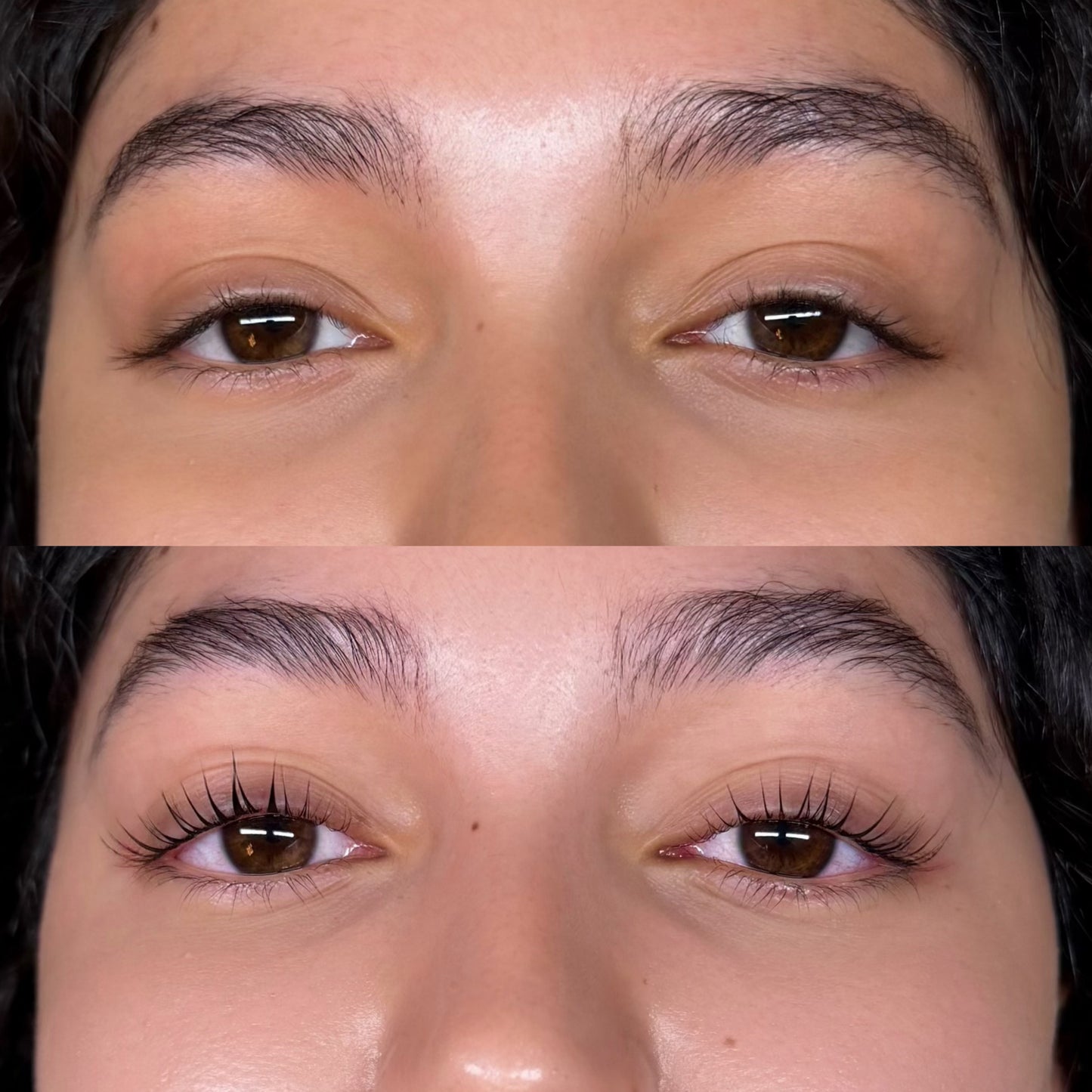 Tootsie Lash Lift Shields (U curl Large)
