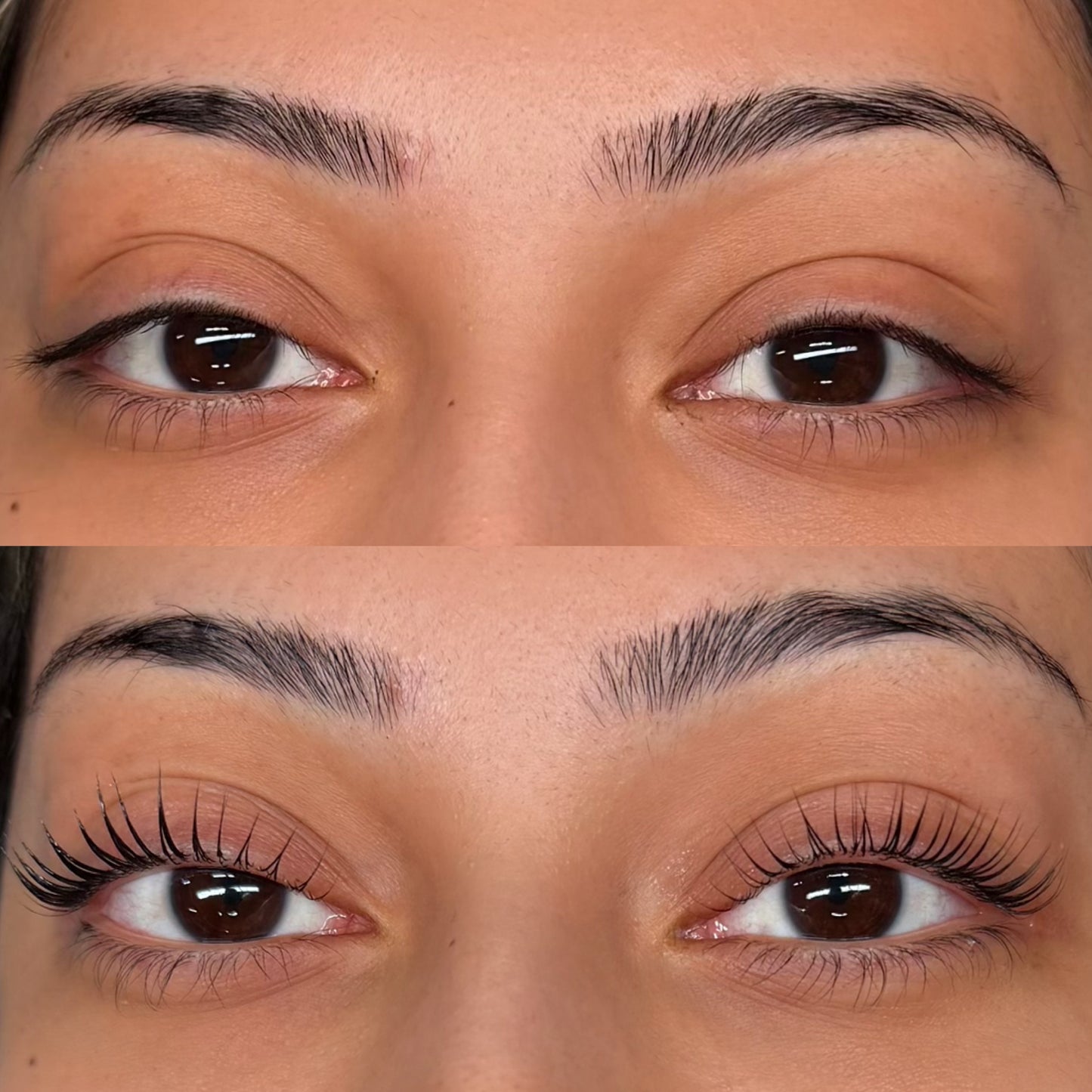 Lady Lash Lift Shields (L Sharp Curl)