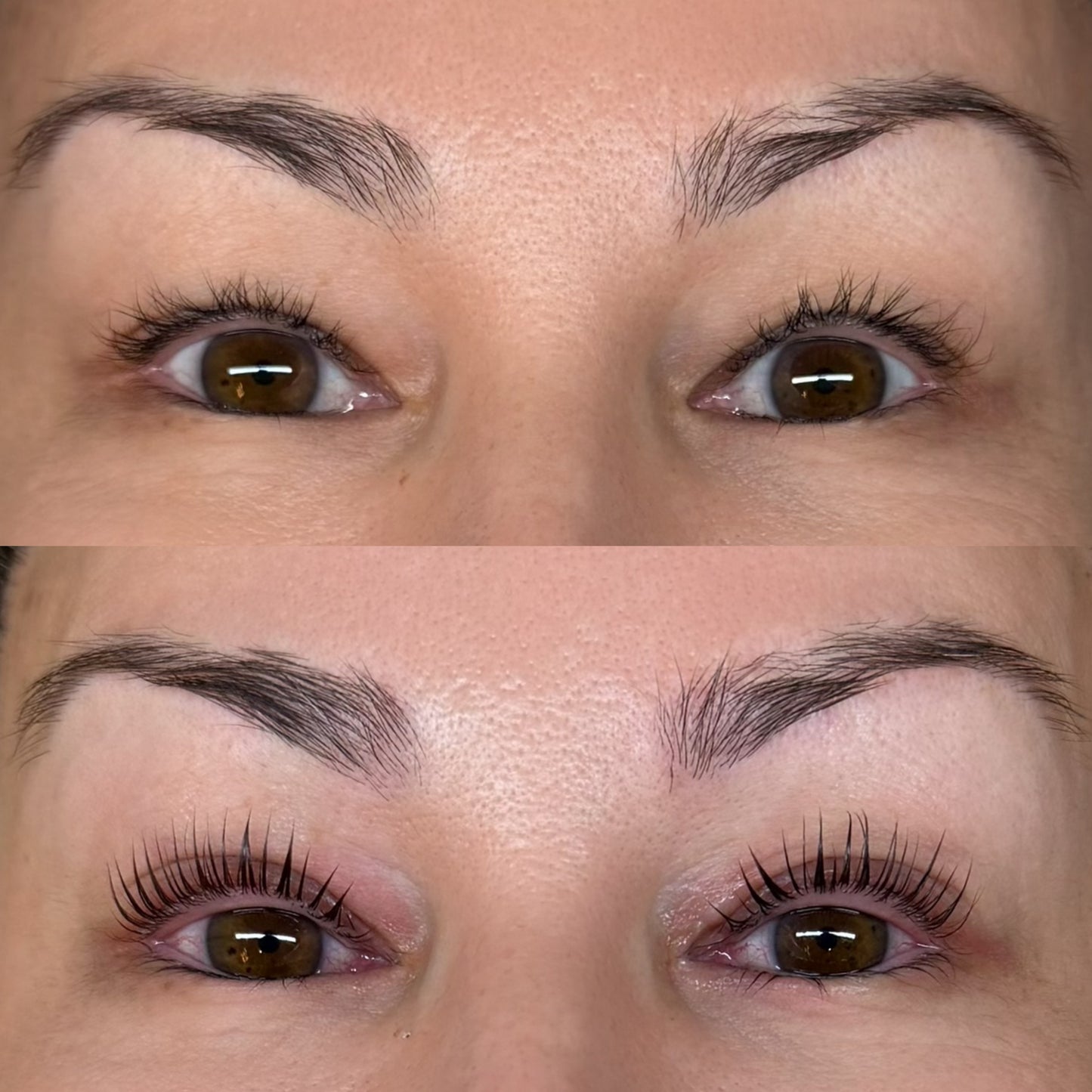Cloud Lash Lift Shields (V curl)