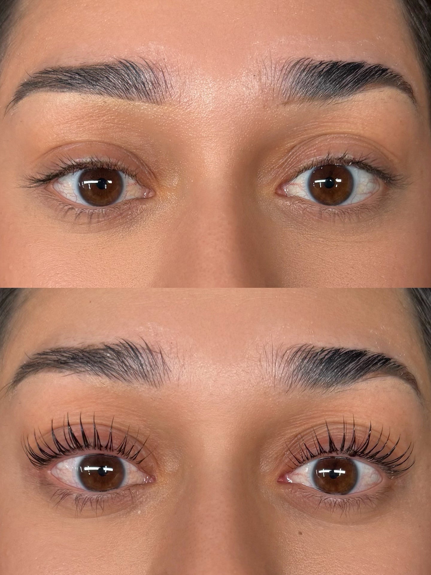 Shell Lash Lift Shields (CU Curl)