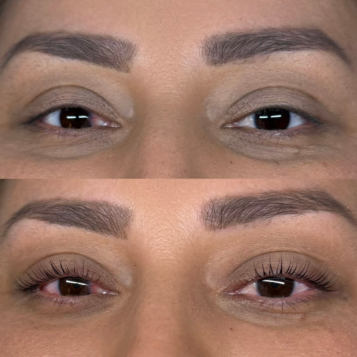 Bear Lash Lift Shields (U Curl)