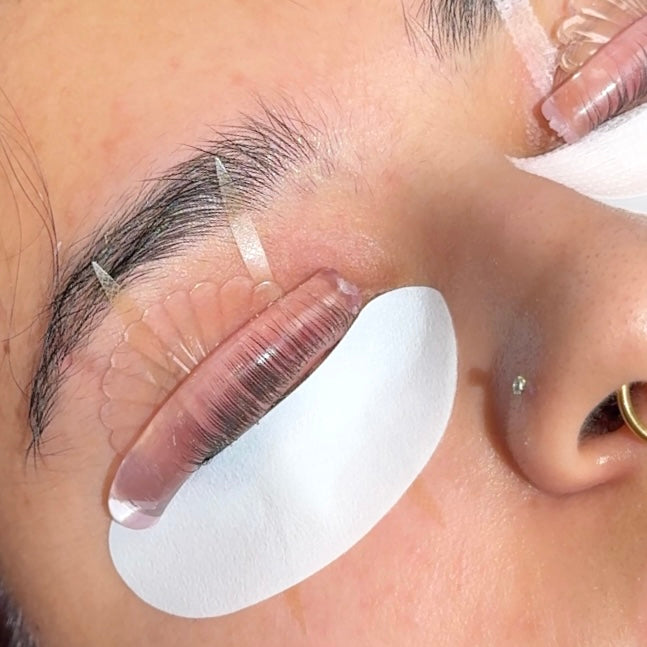 Shell Lash Lift Shields (CU Curl)