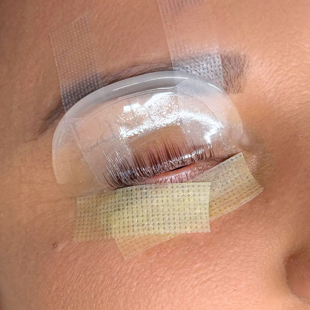 Softening Lash Lift Shields