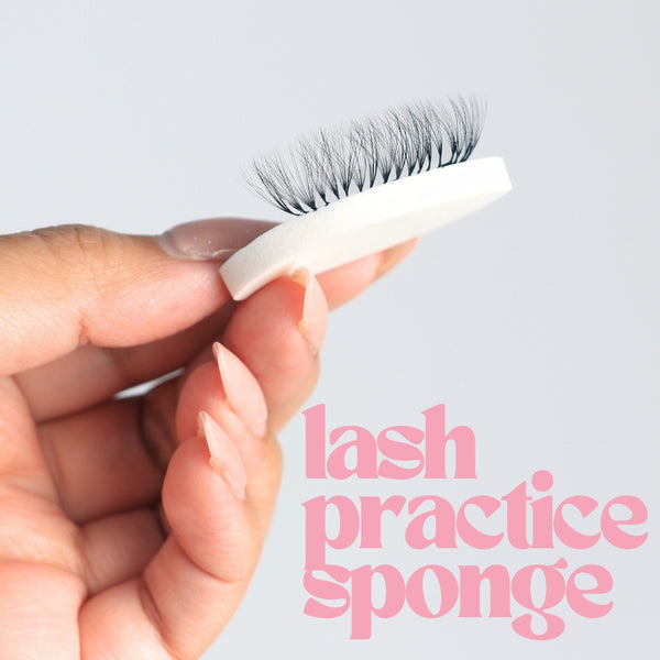 Lash Practice Sponges
