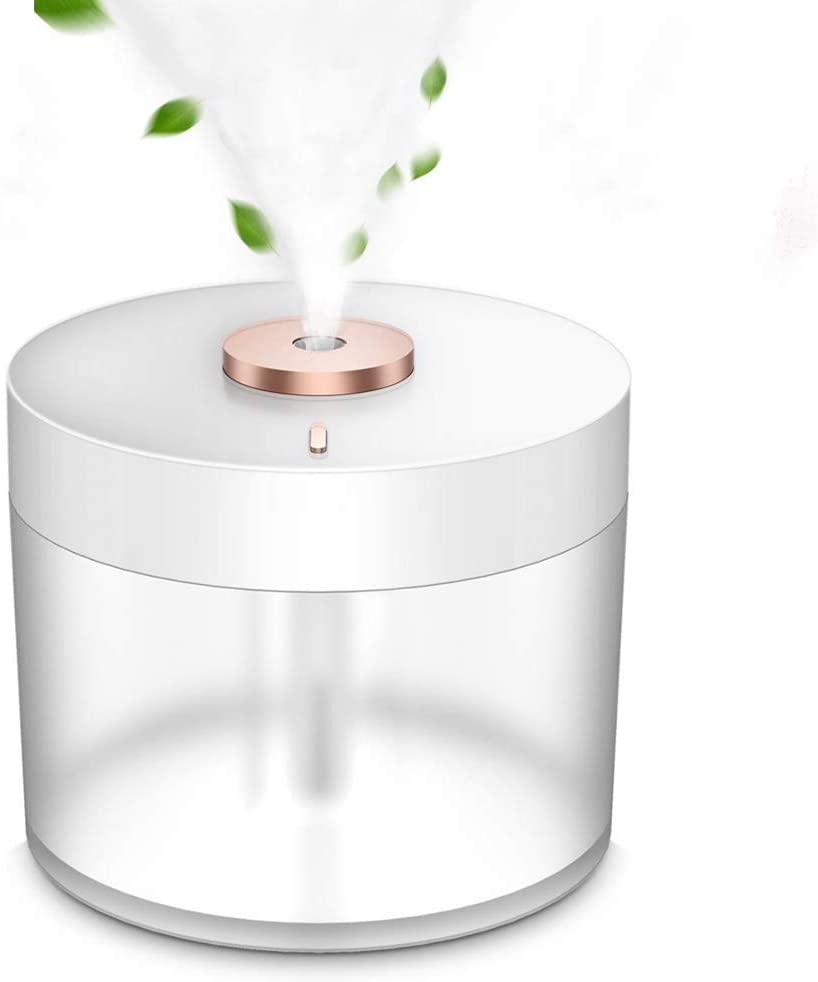 Mini Humidifier