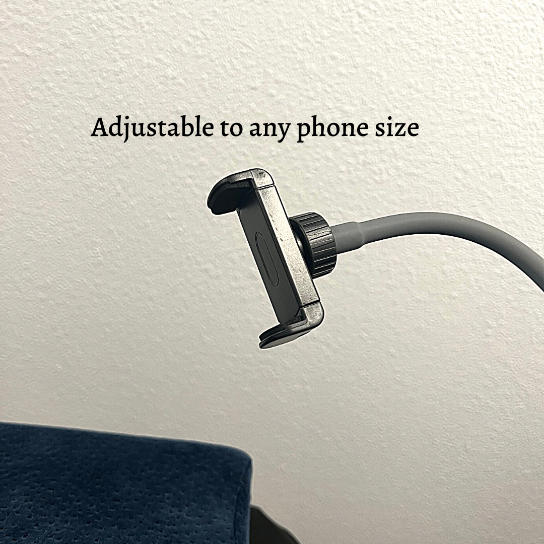 Phone Mount