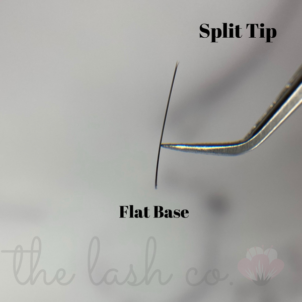 Flat (Split Tip) Matte Lash Trays - 0.20 Diameter